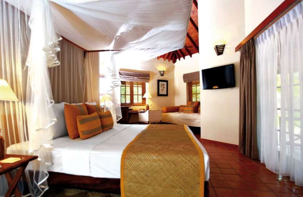 Ein Foto Cinnamon Wild Yala