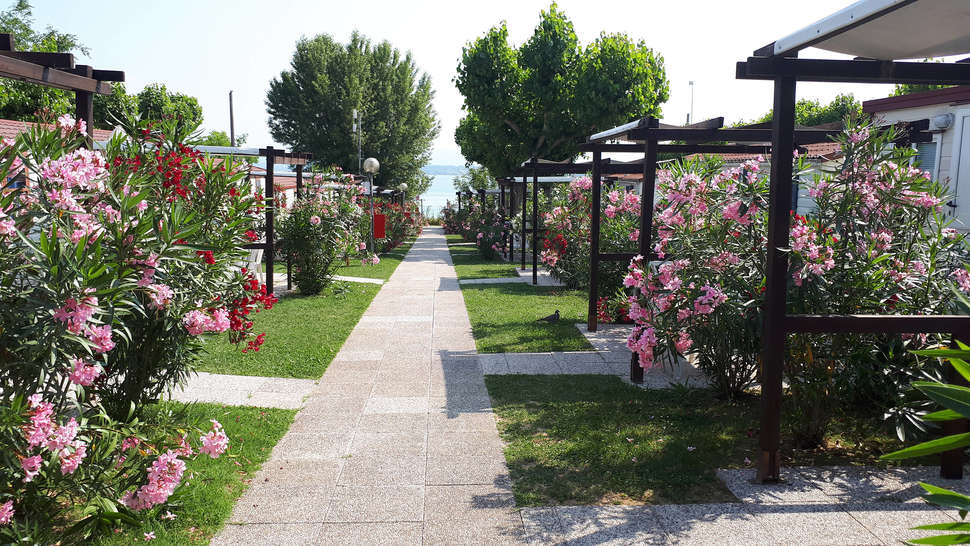 Een foto van Camping Village San Benedetto