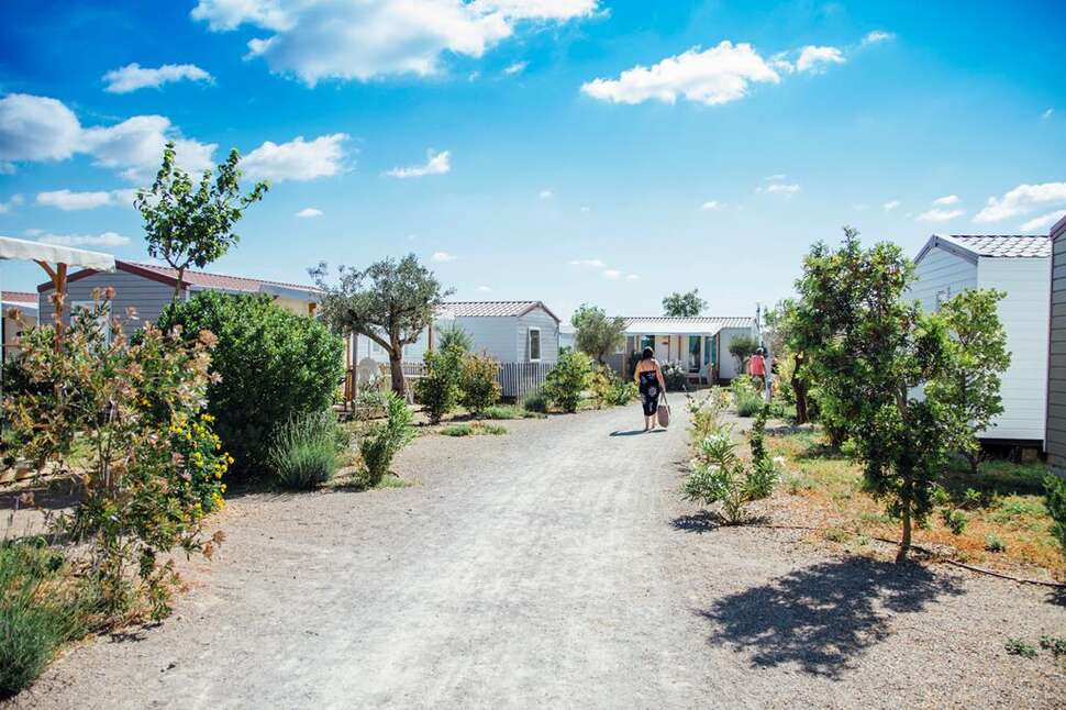 Een foto van Camping Mas des Lavandes