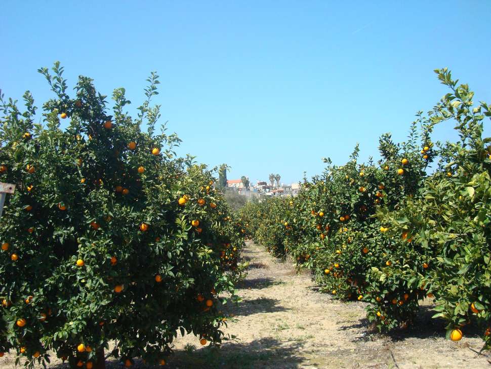 Een foto van de buitenkant van Leonidas Village Houses