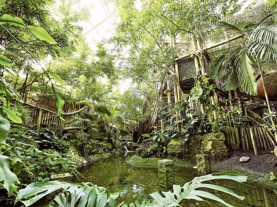 Een foto van Center Parcs Het Heijderbos