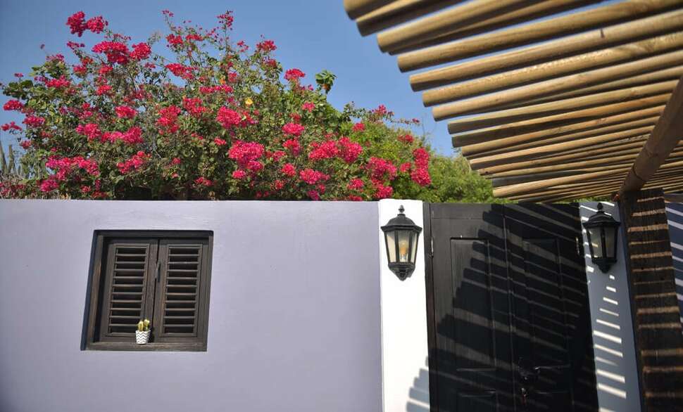 Een foto van Mammaloe's Bed & Breakfast
