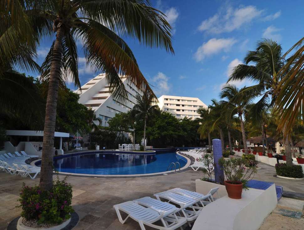Een foto van Oasis Palm