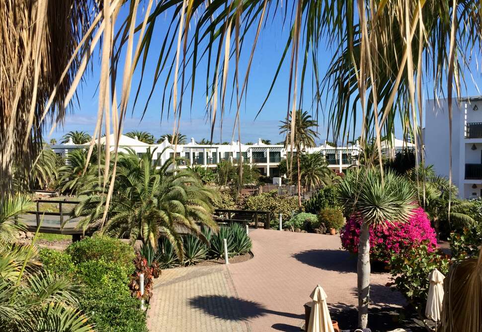 Een foto van het terras bij Las Marismas de Corralejo