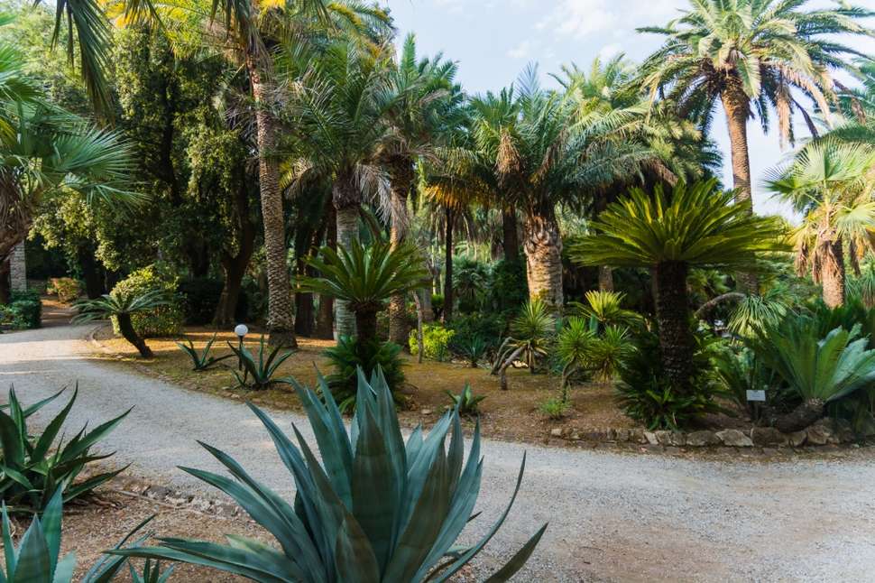 Een foto van Camping Rosselba Le Palme