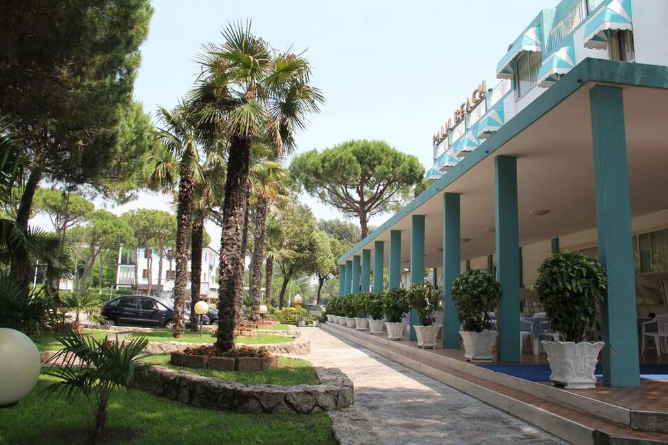 Een foto van Palm Beach