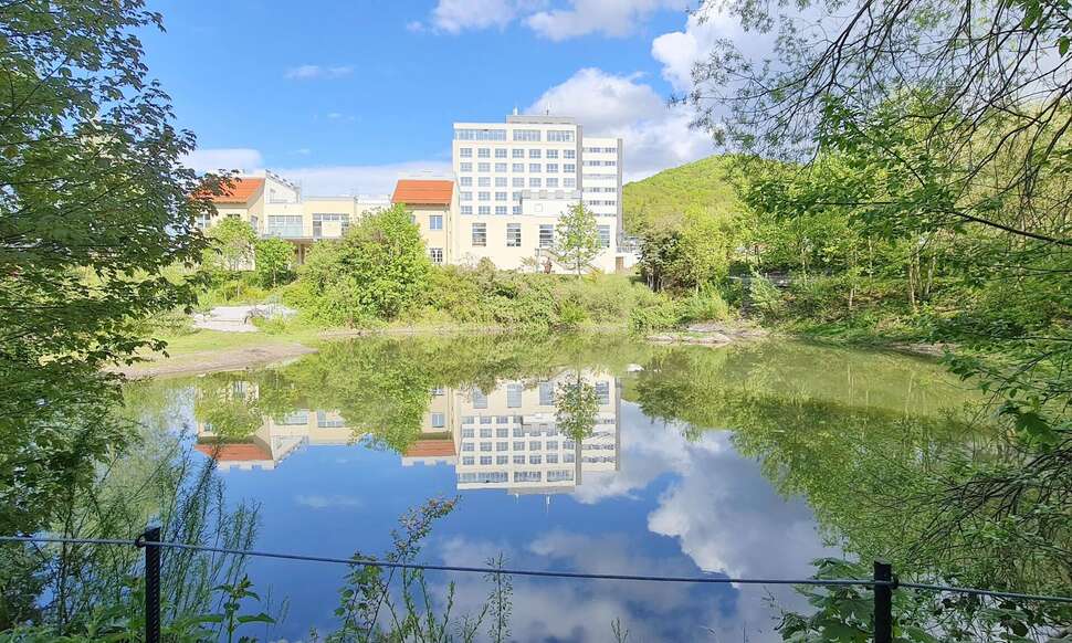 Ein Foto Hasseröder Burghotel