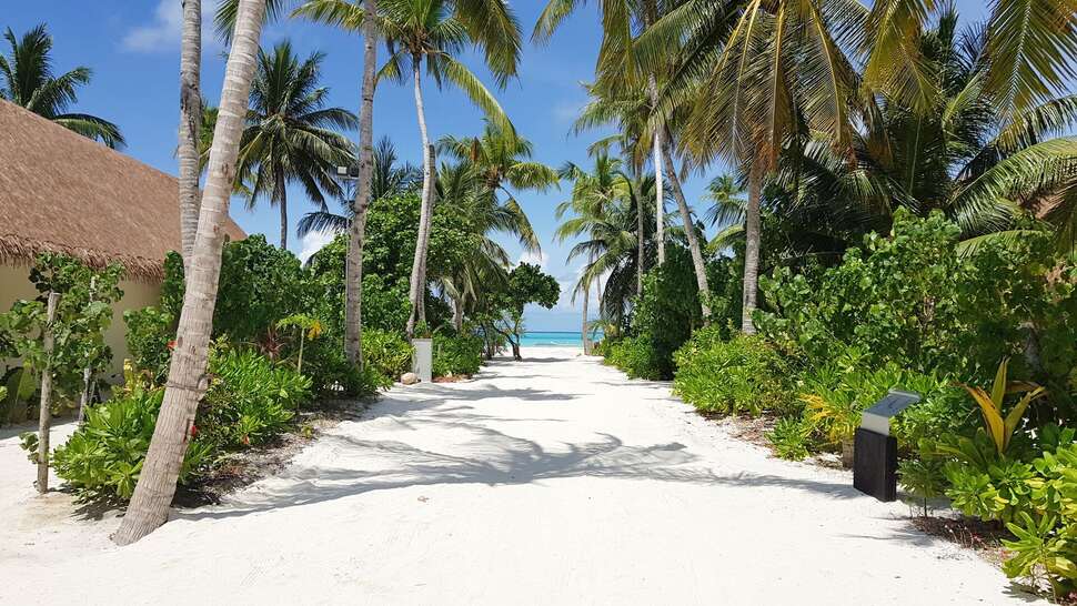 Een foto van Cinnamon Velifushi Maldives