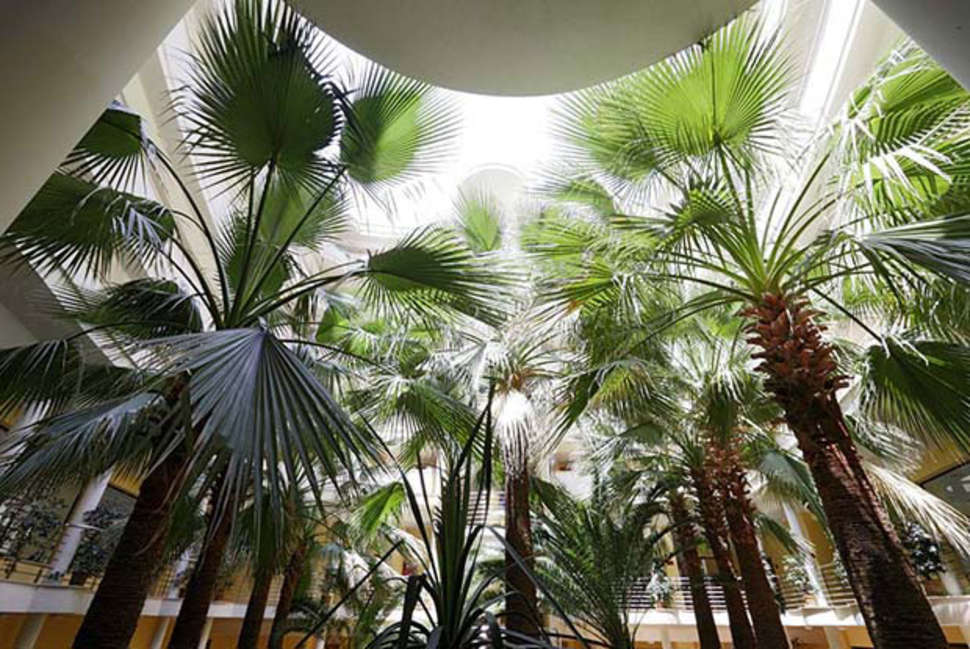 Een foto van het terras bij Allsun Hotel Orient Beach