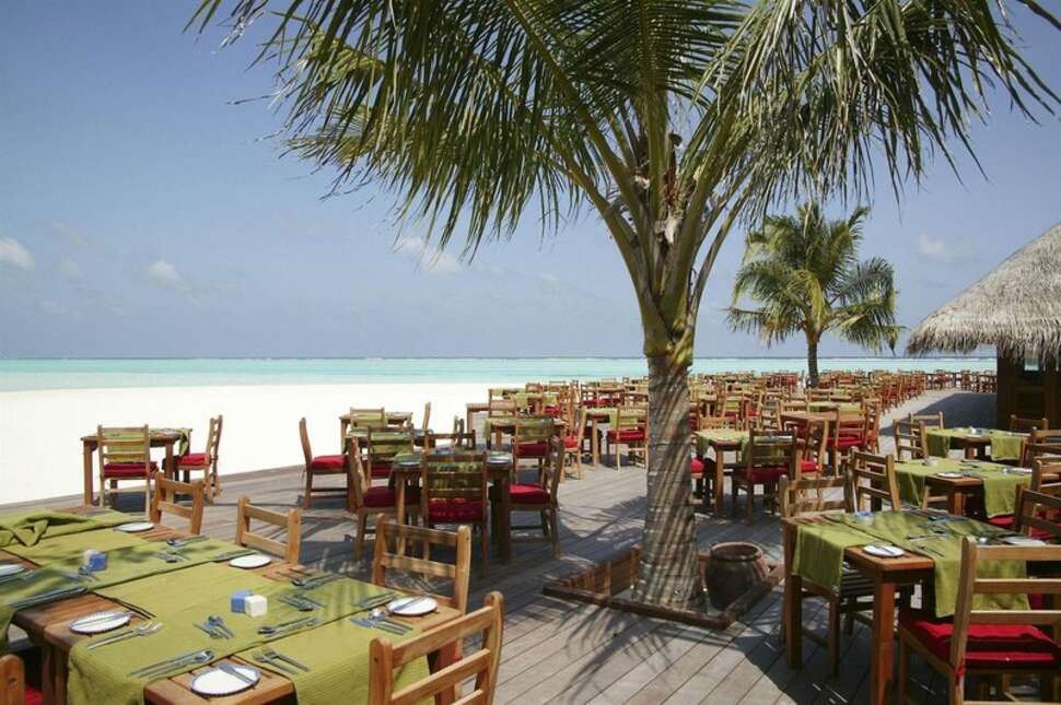 Een foto van het terras bij Meeru Island Resort & Spa
