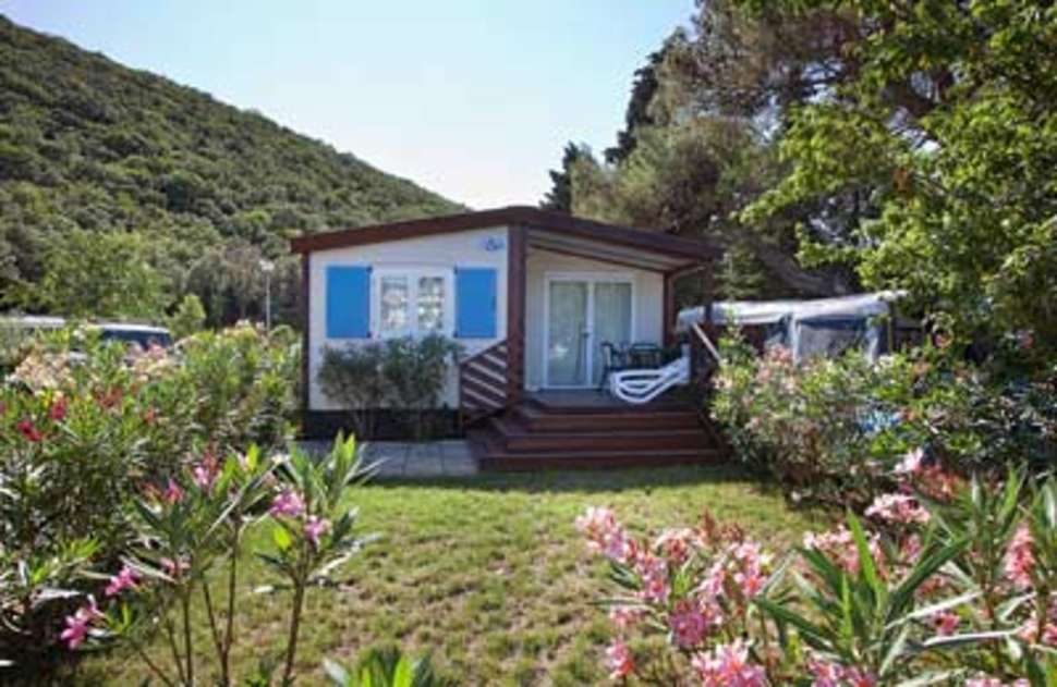 Een foto van Camping Oliva