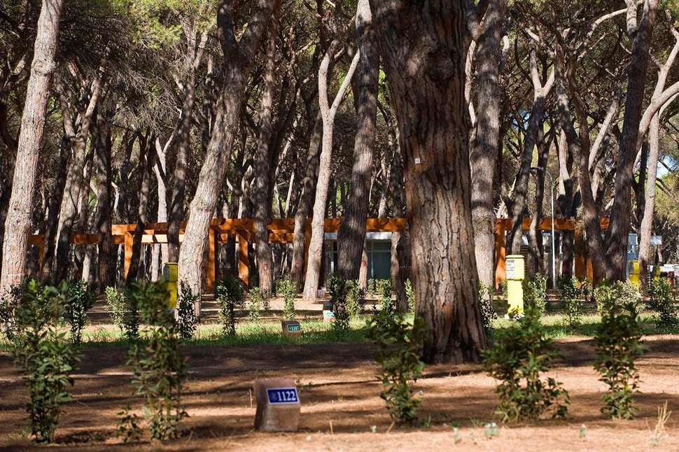 Een foto van Campingpark Roma Capitol