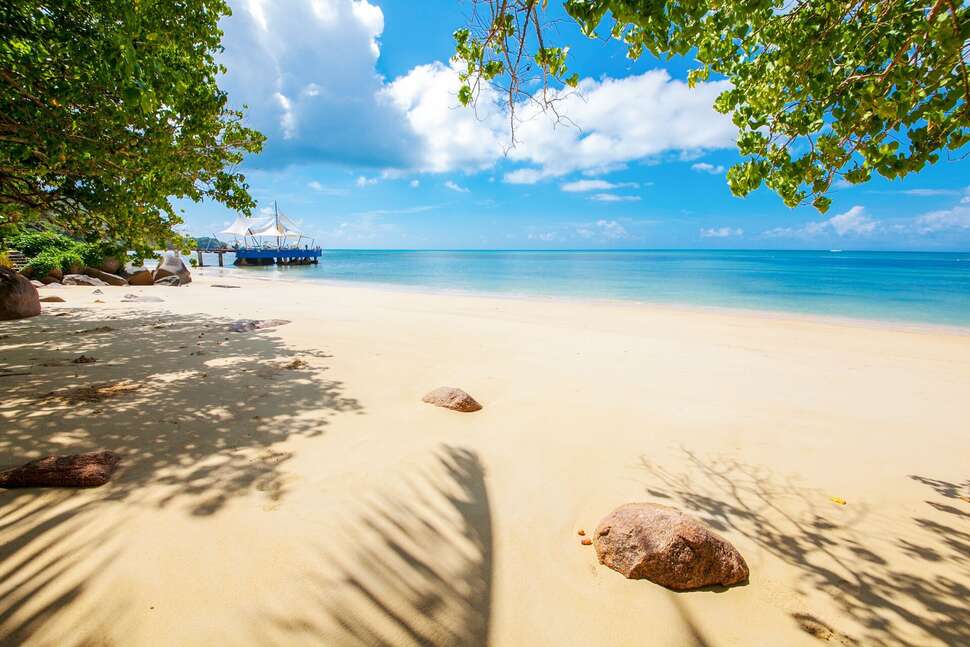 Een foto van Coco de Mer & Black Parrot Suites