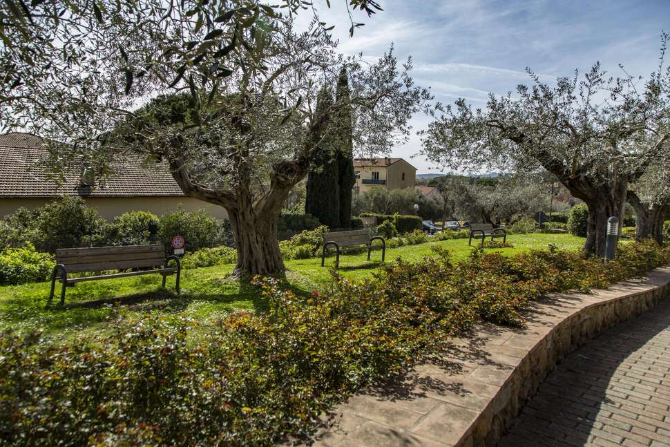 Een foto van Hotel Villa Paradiso Village