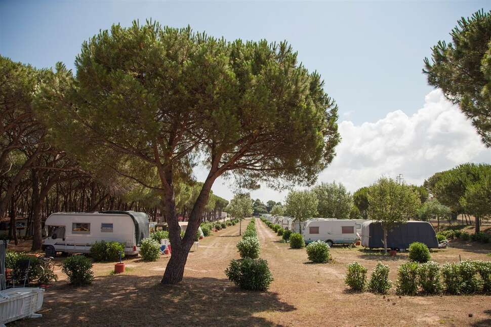 Een foto van Camping Village Baia Blu La Tortuga