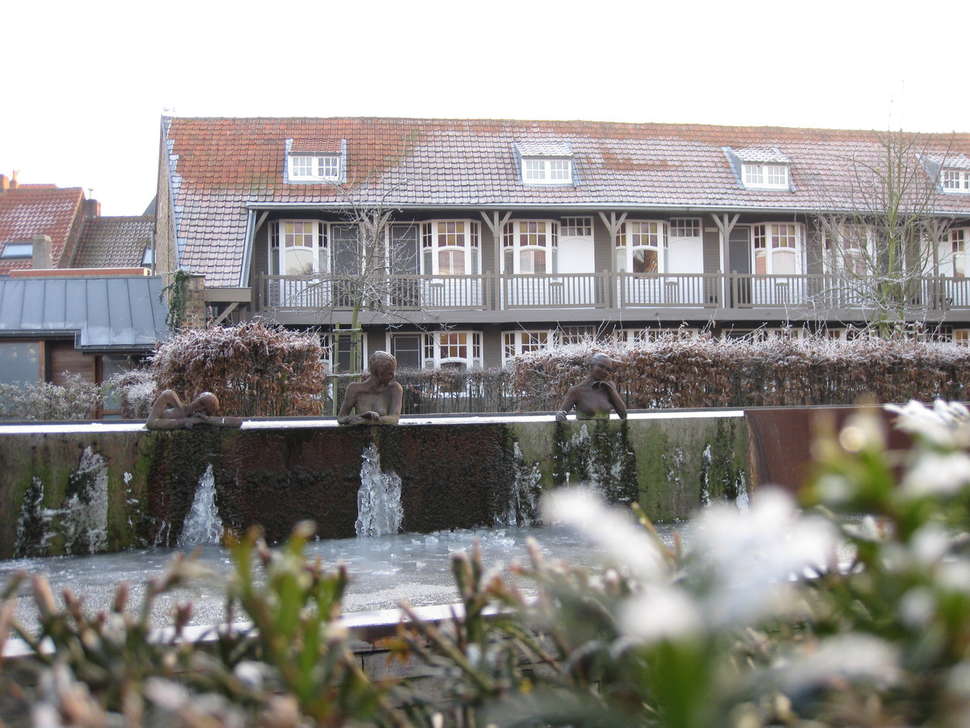 Een foto van Hotel Montanus