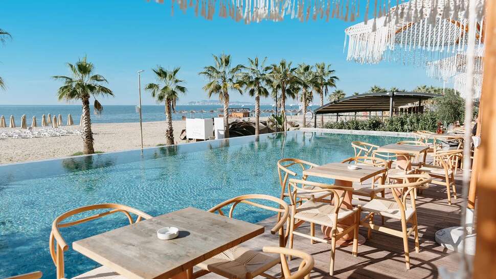 Epidamn White Sensation.