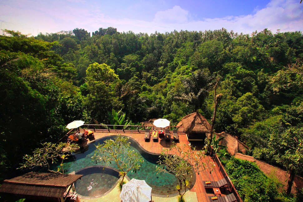 Nandini Jungle Resort&Spa.