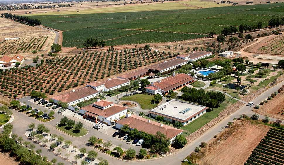 Vila Gale Alentejo Vineyards.