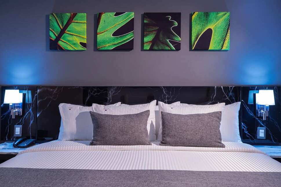 Laila Hotel CDMX