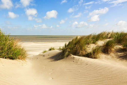 Belgische Küste