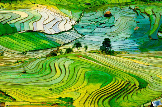 Vietnam